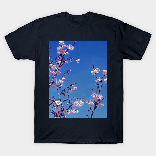 Cherry Blossom Branches T-Shirt by SusanSavad